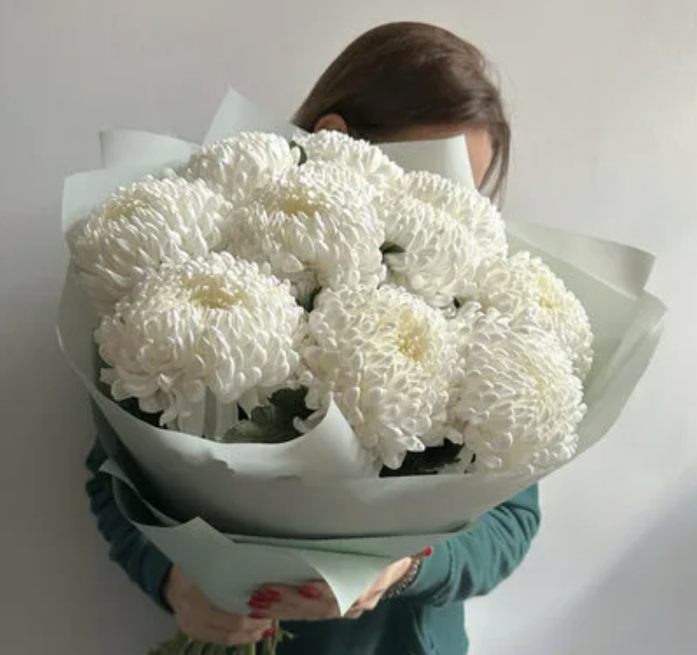 Букет хризантем бигуди белые 11шт 70см