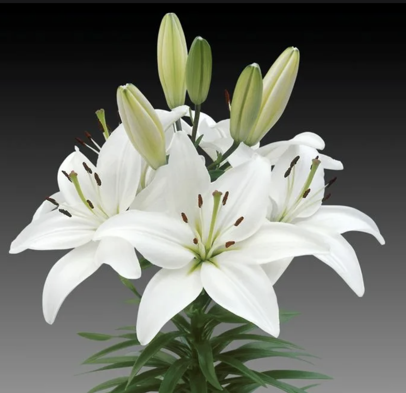 Лилия 1шт ветка