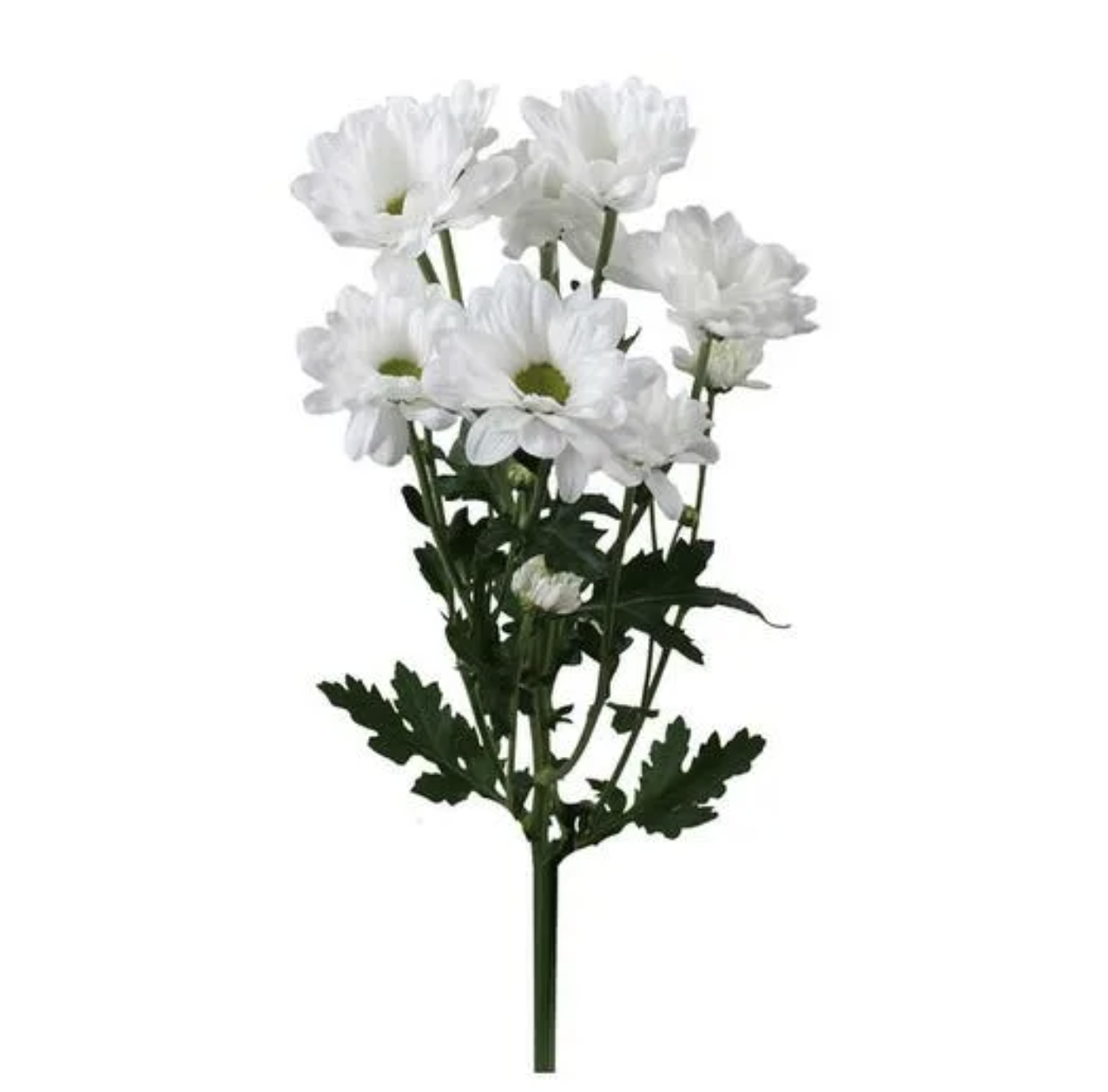 Хризантема 1шт мелкоцвет (60-70см)